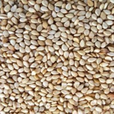 99.1.1 Natural Sesame Seeds